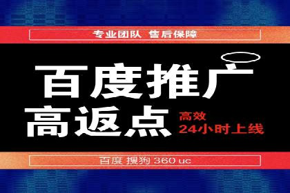 深度解析：百度竞价广告的投放效果与ROI